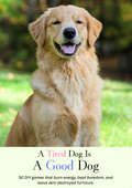A Tired Dog Is A Good Dog: 50 Games, Zero Destruction, One Very Happy Dog