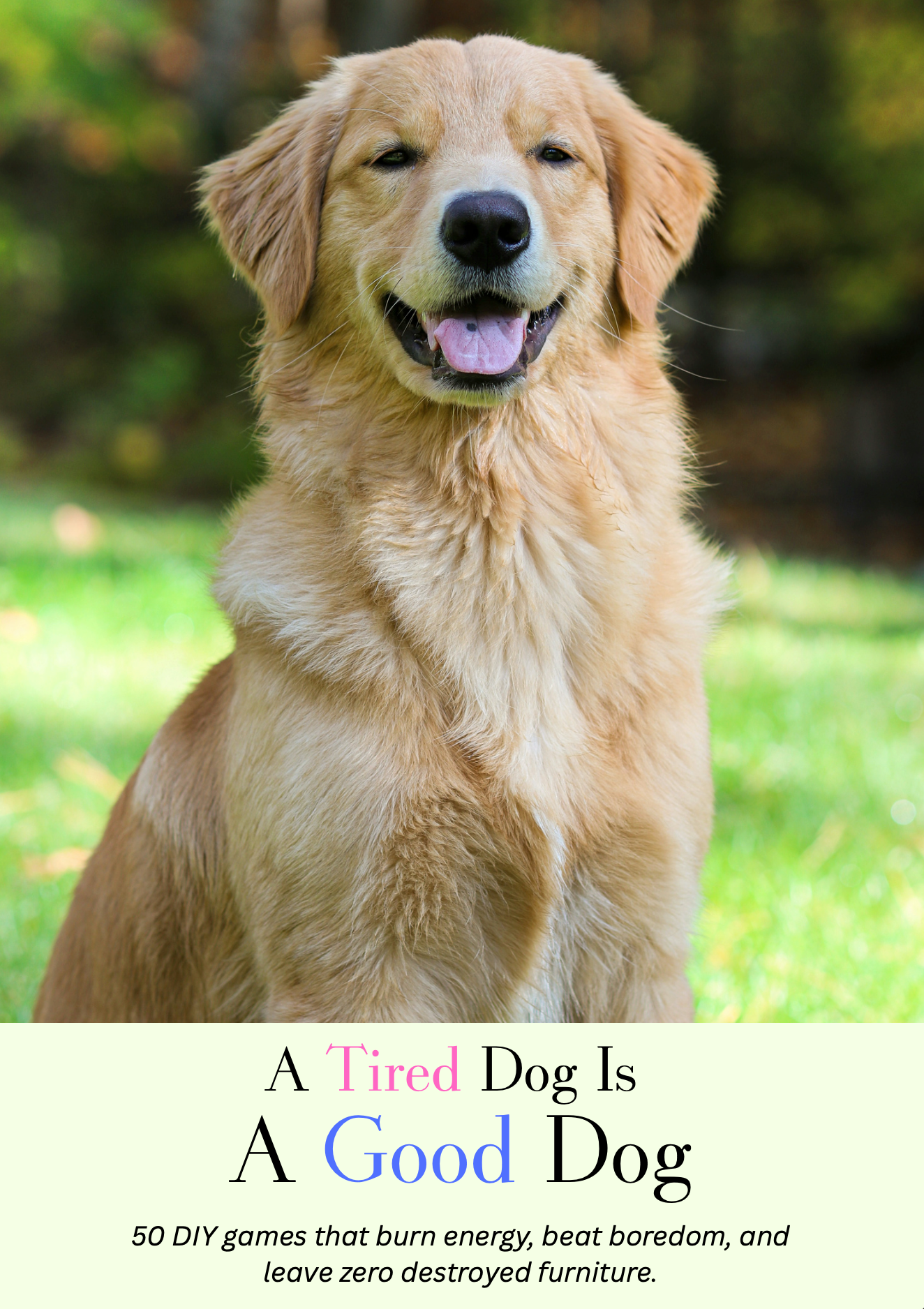 A Tired Dog Is A Good Dog: 50 Games, Zero Destruction, One Very Happy Dog